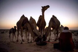 رمضان في الصحراء المغربية… ذاكرة من التضامن والنكهات وألعاب تعيد إحياء التراث الحساني