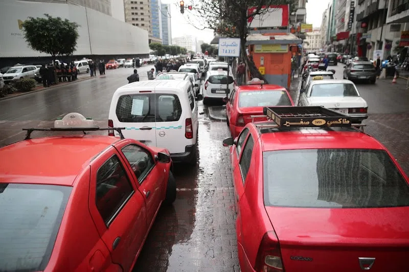 الضمان الاجتماعي يوضح شروط أداء اشتراكات مهنيي الطاكسي وإمكانية الإعفاء من الغرامات