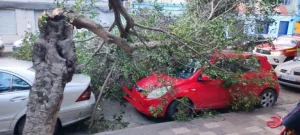 عاصفة “أوريانا” تخلف عشرات التدخلات في مليلية وإغلاق مرافق عمومية احترازياً