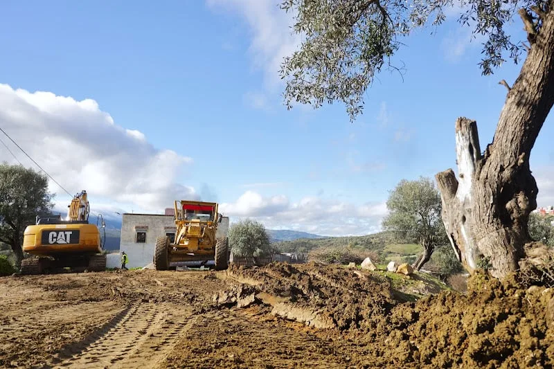 تشخيص رسمي يدعو إلى استراتيجية وطنية للوظائف الخضراء لمواكبة التحول البيئي بالمغرب