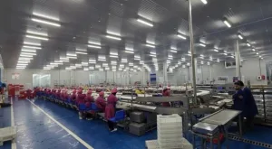 إسبانيا تدفع نحو إنشاء أكبر مصنع لتعليب التونة في المغرب وتثير قلق القطاع في قادش