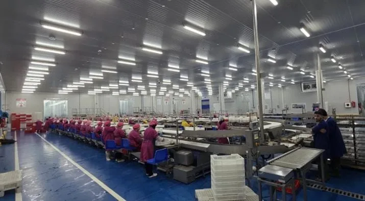 إسبانيا تدفع نحو إنشاء أكبر مصنع لتعليب التونة في المغرب وتثير قلق القطاع في قادش