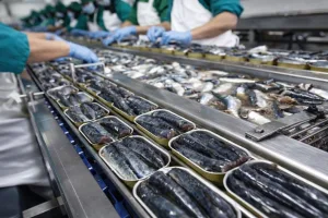 المغرب: قرار حظر تصدير السردين  يربك مصانع تعليب السردين في غاليسيا ويضع القطاع أمام مستقبل غامض