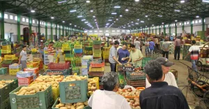 تعثر أسواق الجملة يبطئ تنزيل “الجيل الأخضر” بالمغرب