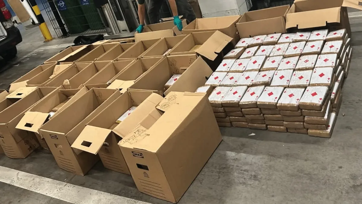 سقوط “ذئاب”… المافيا التي استخدمت شركات فواكه لترويج الكوكايين في أوروبا