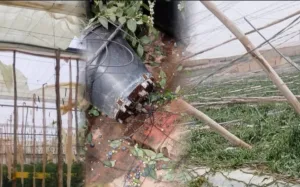 عواصف قوية تضرب سوس ماسة وتخلف خسائر فلاحية قد تنعكس على أسعار الخضر