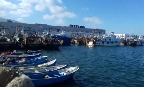 الناظور .. أزمة الصيد تبدأ من يناير بانخفاض المفرغات إلى 17,7 مليون درهم ( 322 طناً ) مقابل 27 مليون درهم و491 طناً السنة الماضية