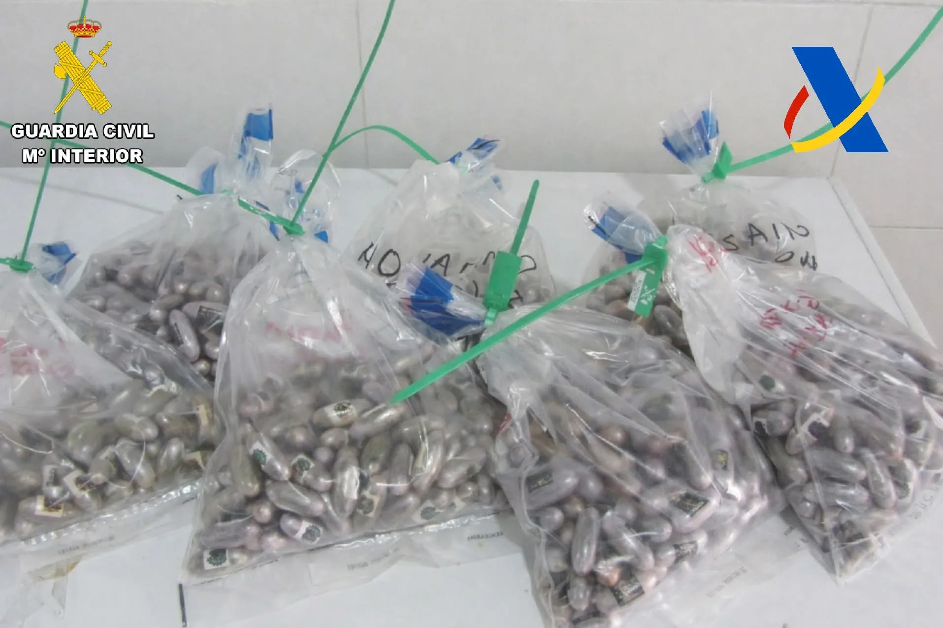 مليلية :    “قنابل بشرية على خط التهريب”… تفكيك شبكة تنقل الحشيش داخل أمعاء أشخاص