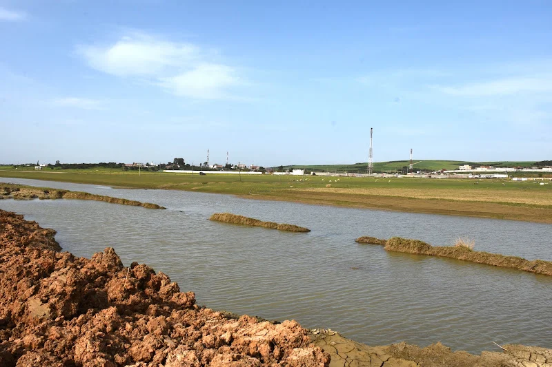 فلاحو اللوكوس ينتظرون دعم ما بعد الفيضانات لإنقاذ الموسم