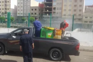استنفار صحي بجهة طنجة تطوان الحسيمة لمواجهة خطر انتشار البعوض