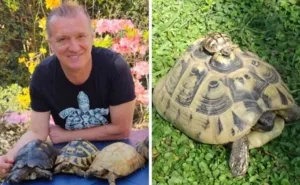 إيطالي يعيش بين 400 سلحفاة ويطعمها يومياً … شغف غريب أصبح أسلوب حياة”