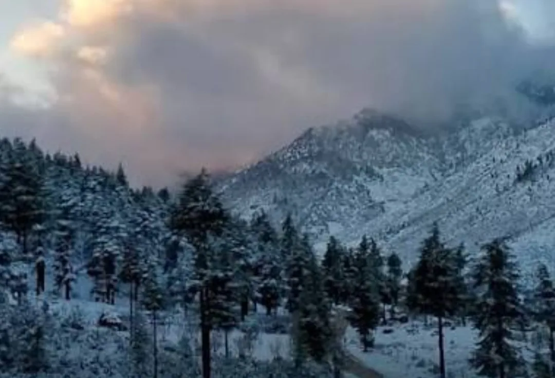 طقس الثلاثاء :     أمطار وثلوج ورياح قوية بعدد من مناطق المملكة