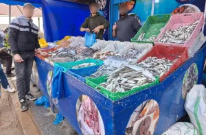 أسعار السمك بإمزورن تثير غضب المواطنين:    المفارقة الصادمة مع ميناء الحسيمة ومدن الداخل