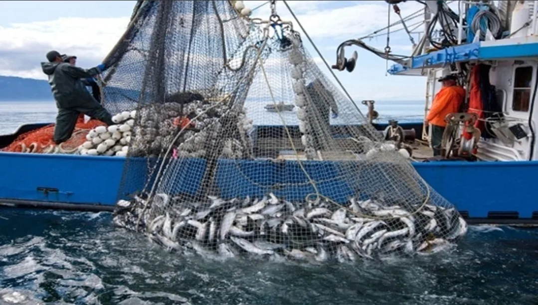 ارتفاع قيمة منتجات الصيد الساحلي والتقليدي إلى أكثر من 2,36 مليار درهم حتى نهاية فبراير 2026