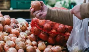 الناظور :      إرتفاع غير مسبوق في أسعار البصل بأسواق الناظور خلال العشر الأواخر من رمضان يثير استياء المواطنين