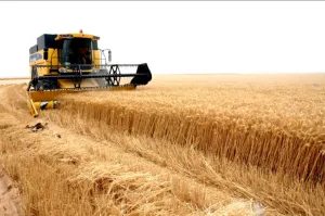 اقتصاد المغرب ينتعش بقوة:    نمو مرتقب يبلغ 5,6% في 2026 مدفوعًا بانتعاش فلاحي واستثمارات كبرى