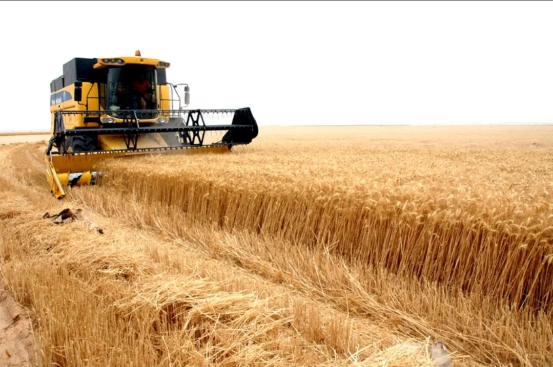 اقتصاد المغرب ينتعش بقوة:    نمو مرتقب يبلغ 5,6% في 2026 مدفوعًا بانتعاش فلاحي واستثمارات كبرى