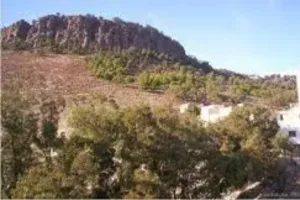 أزغنغان :    هكذا تغولت شبكة التجزئ السري وتمددت ، وبدأت في السيطرة على حقل التعمير بالمدينة !