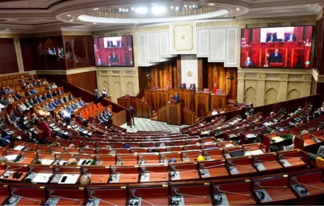 الناظور :    سباق ساخن مبكر في انتخابات مجلس النواب .. 7 مرشحين يشعلون المنافسة وحظوظ متقاربة على المقاعد البرلمانية