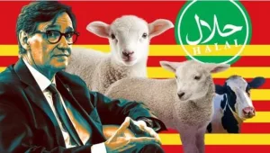 نصف مسالخ كتالونيا تعتمد الذبح الحلال… طلب متزايد من الجاليات المسلمة ومغاربة إسبانيا
