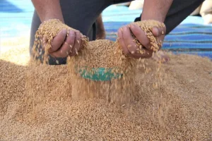 ترقب إعلان قيمة زكاة الفطر بالمغرب وسط دعوات لمراعاة الغلاء وحاجات الفقراء