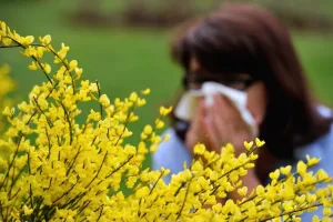 انتقال الفصول يربك صحة المغاربة.. أطباء يحذرون من موجة حساسية وإرهاق مع اقتراب الربيع