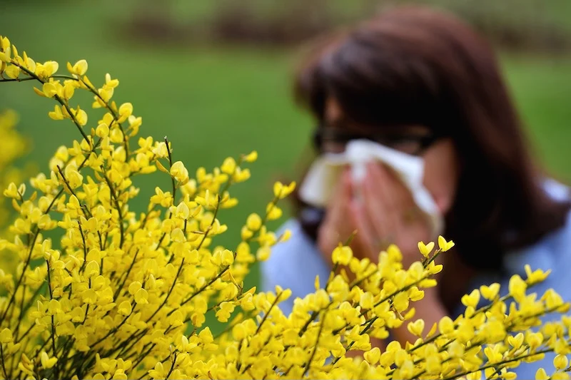انتقال الفصول يربك صحة المغاربة.. أطباء يحذرون من موجة حساسية وإرهاق مع اقتراب الربيع