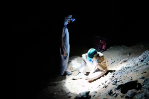 موريتانيا تشدد قبضتها على التنقيب الأهلي وتطرد الأجانب من المناطق الحدودية