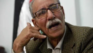 جبهة البوليساريو تناور في البرلمانات المحلية بإسبانيا