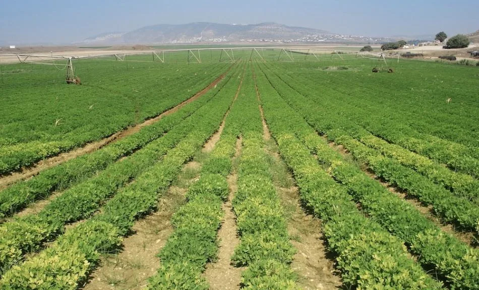 نمو مرتقب للاقتصاد المغربي يوازن بين قوة الفلاحة وضغط الطاقة