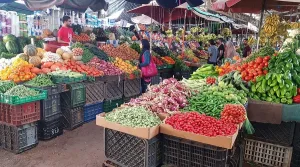 أسواق مدينة الناظور: الطماطم تلامس 15 درهماً وغلاء لافت في البطاطس والبصل وسط رواج باهت