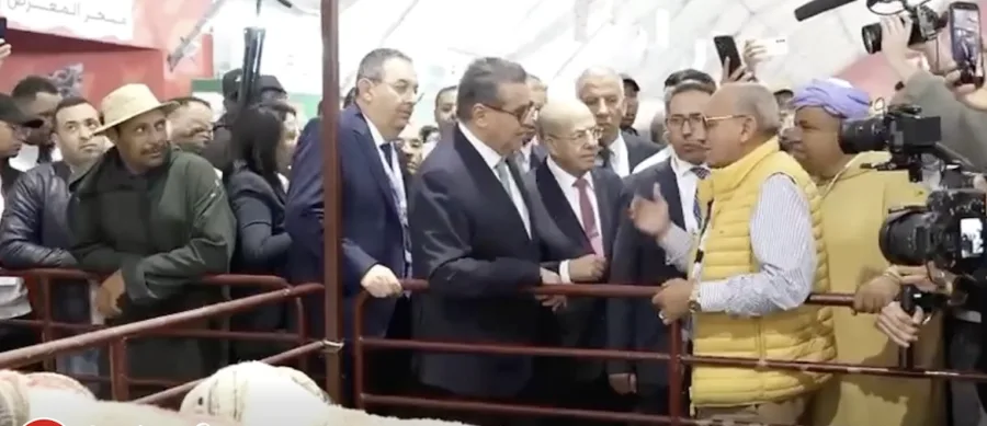 أخنوش يستفسر مربي الماشية عن ارتفاع الأسعار رغم دعم العلف