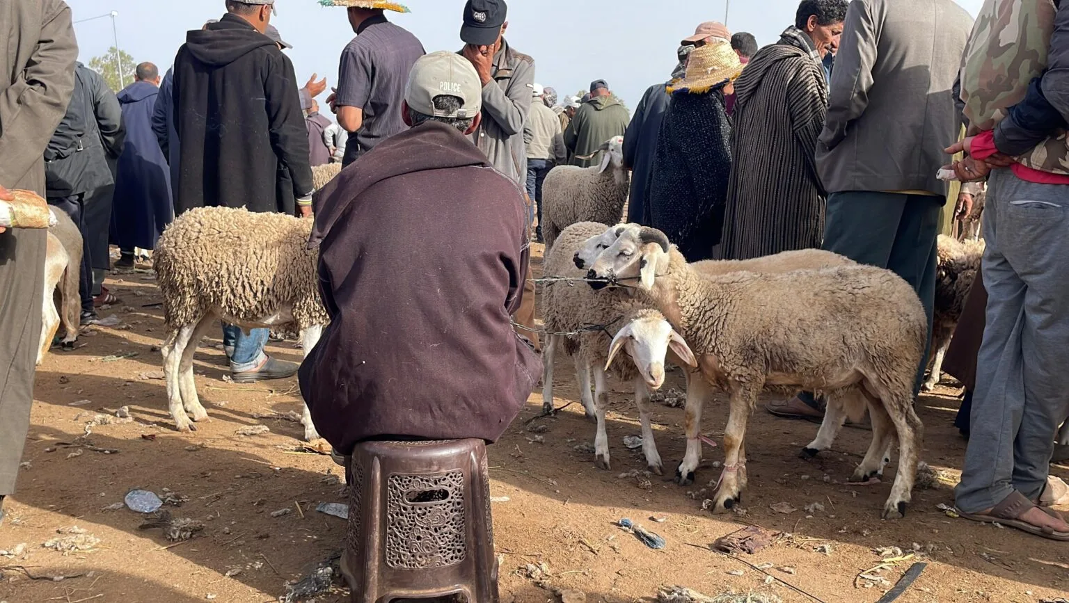 مطالب برلمانية بإنصاف الكسابة الرحل وتسريع دعم مربي الماشية