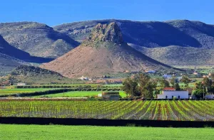 الناظور :     جماعة ثيزظوظين على صفيح ساخن… مقلع جديد يفجّر جدل “التنمية أم التدمير” ويشعل غضب الساكنة