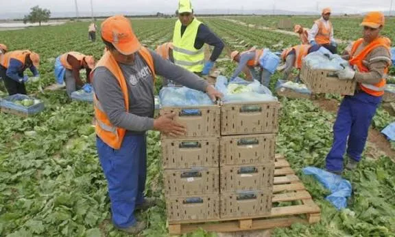 صدمة في الأفق… ماذا سيحدث لإسبانيا إذا اختفى المهاجرون؟ أرقام مرعبة وسيناريو يقلب كل الموازين