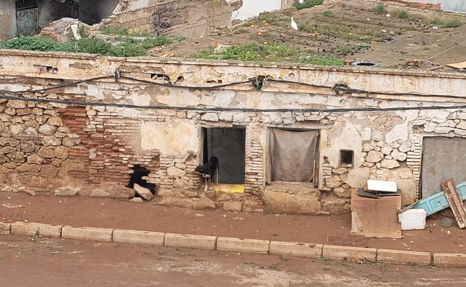 الناظور بين هدمٍ انتقائي وخطرٍ مُهمَل :     الجرافات تتحرك … وقرارات تُنفَّذ بنصف عدالة