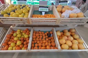 الجفاف يقلص مساحات الحوامض بالمغرب ويعيد ترتيب خريطة الإنتاج