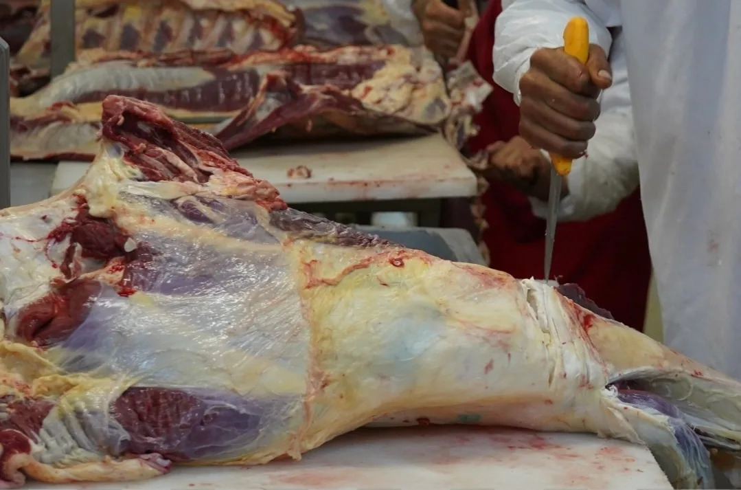 تمسمان:  ارتفاع أسعار اللحوم وغياب النظافة يفاقم مخاوف السلامة الصحية وسط اتهامات بضعف المراقبة