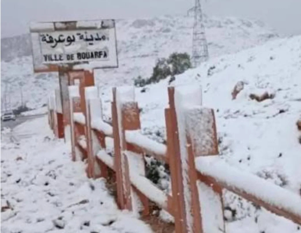 بوعرفة تتحول إلى “قطب متجمد” … ثلوج نادرة وعواصف قوية تربك جنوب الجهة الشرقية !