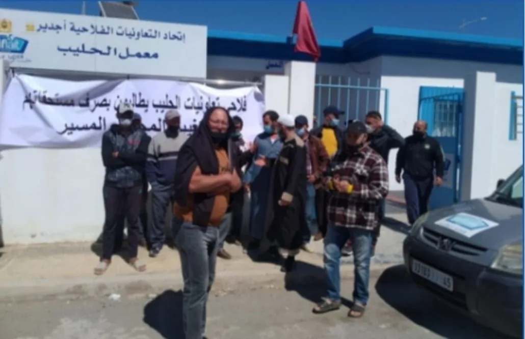 إمزورن :     عمال معمل الحليب يشتكون الطرد الجماعي ويطالبون بتنفيذ الأحكام القضائية