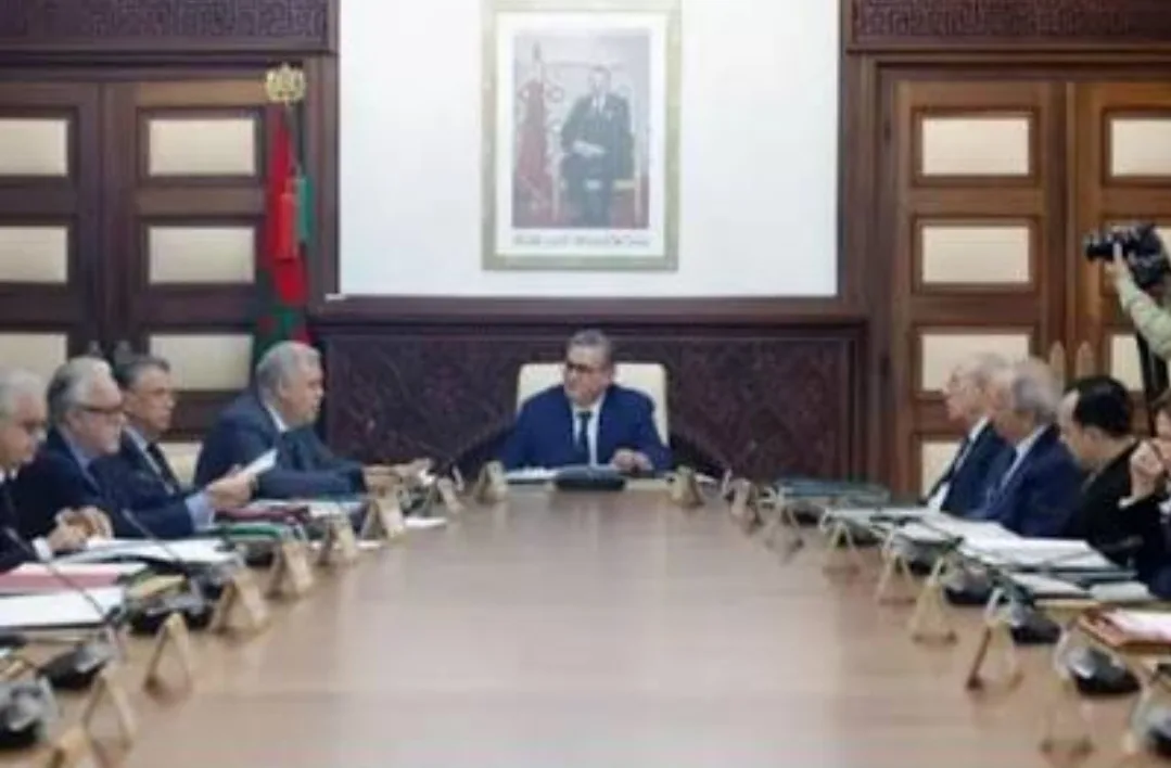 دعم مالي جديد للشباب يلهب سباق الانتخابات … الحكومة تفتح الباب أمام جيل أقل من 35 سنة لدخول البرلمان