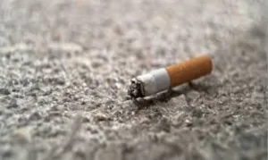 صدام بيئي في هولندا :    البلديات تطالب شركات التبغ بدفع فاتورة “سموم الأرصفة”