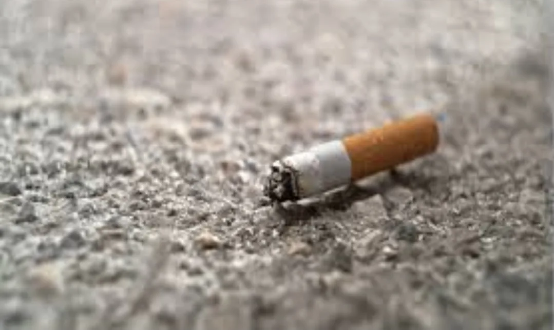 صدام بيئي في هولندا :    البلديات تطالب شركات التبغ بدفع فاتورة “سموم الأرصفة”