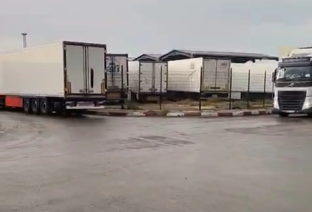 الناظور :     “ريحة الشيرا فاحت” … انفجار مدوٍّ بميناء بني أنصار… السكانير مطفأ والشحنة دازت ! من عطّل العين باش يدوز الحشيش؟