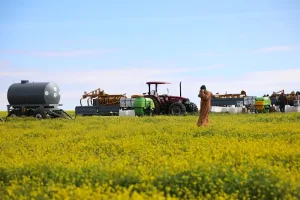مطالب فلاحية بإدراج القطاع ضمن دعم المحروقات لمواجهة ارتفاع التكاليف