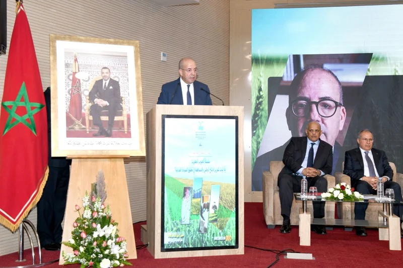 سلسلة الحبوب بالمغرب تواجه تحديات التغير المناخي وتعزز مرونتها