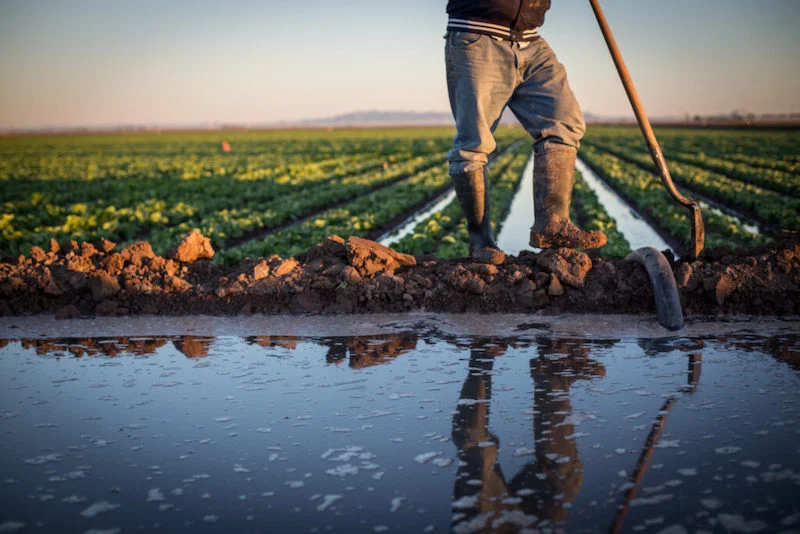 أمطار أبريل تنعش آمال الفلاحين وترجّح تحسن مردودية الموسم