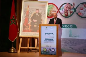 موسم فلاحي واعد: إنتاج الحبوب يبلغ 90 مليون قنطار وانتعاش في مختلف السلاسل