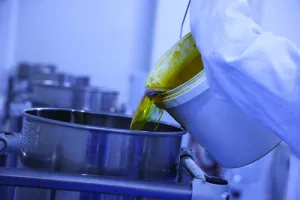 التعاونيات الزراعية تعزز استدامة صناعة زيت القنب في المغرب وفق دراسة علمية