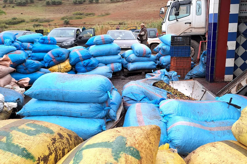 دعم بيئي للمقاولات الصناعية بالمغرب يتجاوز 900 مليون درهم منذ 1998